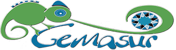 Logo Gemasur1 290 140